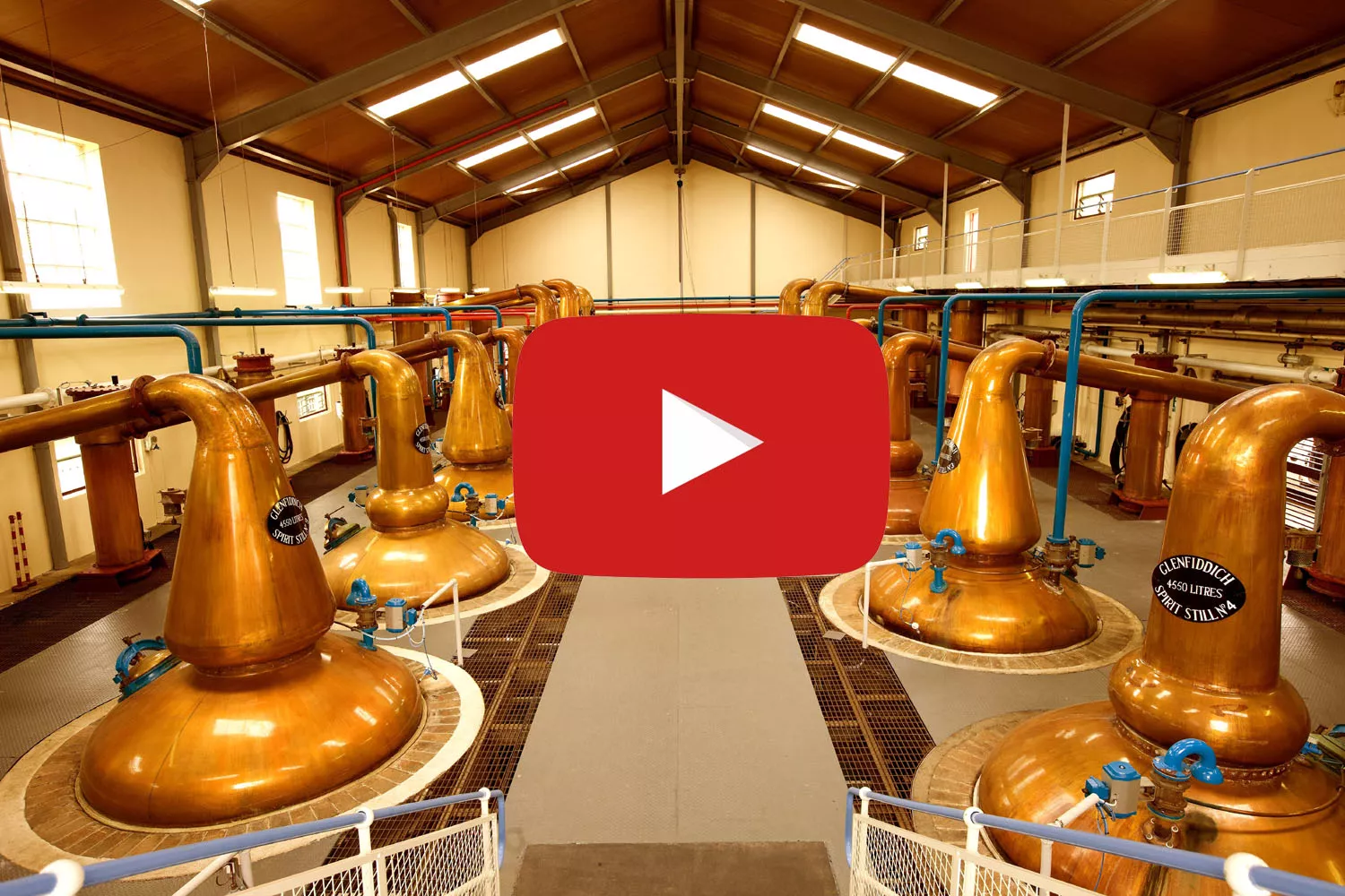 Glenfiddich_1111